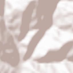 Blăjeni Terrain Map