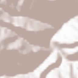 Intregalde Terrain Map