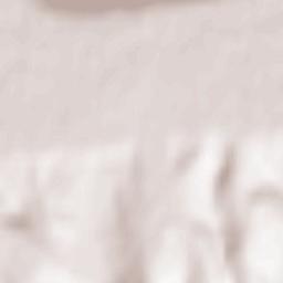 Valea Dăii Terrain Map