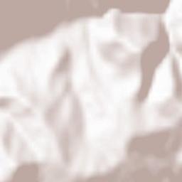 Cireșoaia Terrain Map