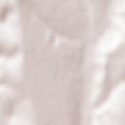 Coroieşti Terrain Map