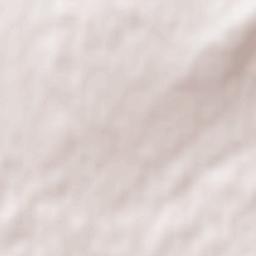 Plessisville Terrain Map