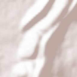 Jasseron Terrain Map