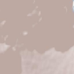 Chamoson Terrain Map