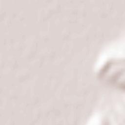 Covăsinţ Terrain Map