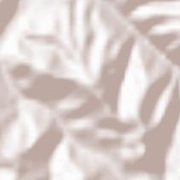 Comuna Brazii Terrain Map