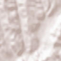 Tomeşti Terrain Map