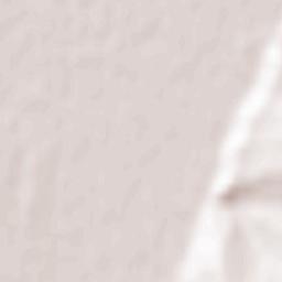 Oraş Teiuş Terrain Map