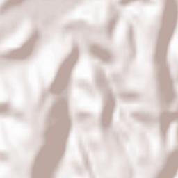 Sighișoara Terrain Map