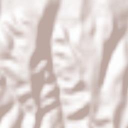 Valea Albeștiului Terrain Map