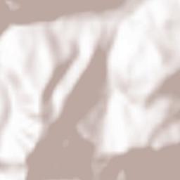 Oraş Slãnic-Moldova Terrain Map