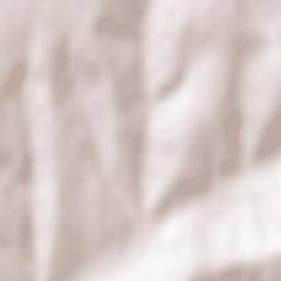 Fruntișeni Terrain Map