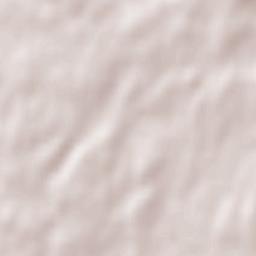 Saint-Norbert Terrain Map