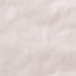 Beauvoir-sur-Niort Terrain Map