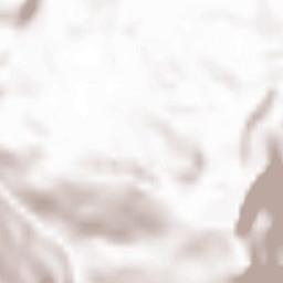 Visp District Terrain Map