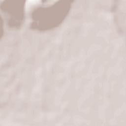 Cavasso Nuovo Terrain Map