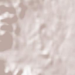 Škofja Loka Terrain Map