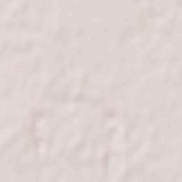 Municipiul Arad Terrain Map