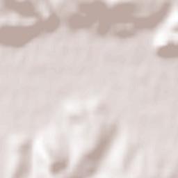 Baia de Criş Terrain Map