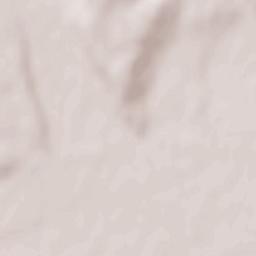 Galda de Jos Terrain Map