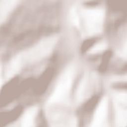 Bălcaciu Terrain Map