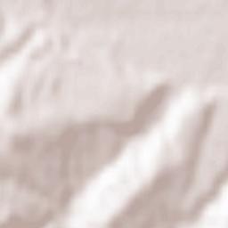 Căiuți Terrain Map