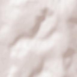 Bogheşti Terrain Map