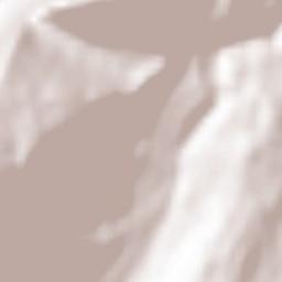 Monnetier-Mornex Terrain Map