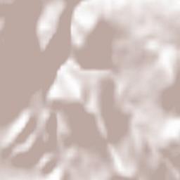 Saint-Jeoire Terrain Map