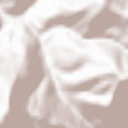 Centrale Terrain Map