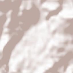 Trbovlje Terrain Map