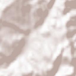 Municipiul Brad Terrain Map