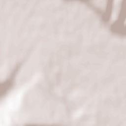 Coţofăneşti Terrain Map