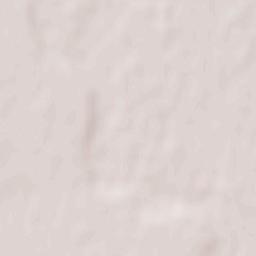 Adjudu Vechi Terrain Map