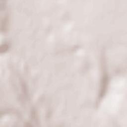 Pogonești Terrain Map