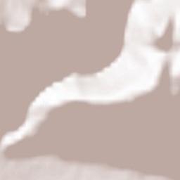 Taninges Terrain Map