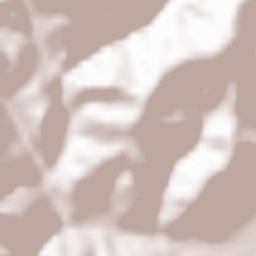 Gorenja Vas Terrain Map