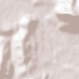 Šentvid District Terrain Map