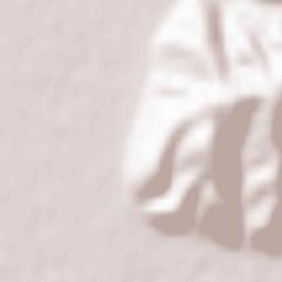 Păuliş Terrain Map