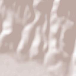 Comuna Conop Terrain Map