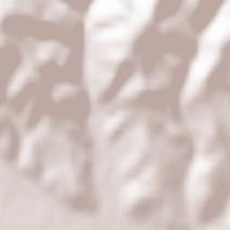 Bârzava Terrain Map