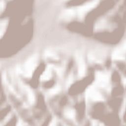 Comuna Crişcior Terrain Map