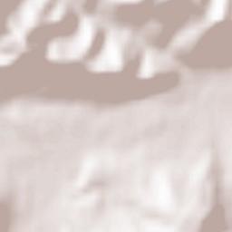 Oraş Copşa Micã Terrain Map