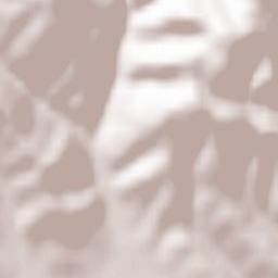 Estelnic Terrain Map