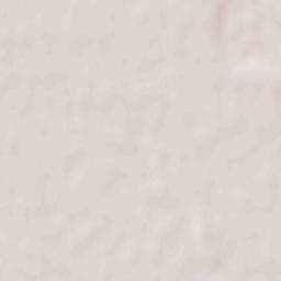 Municipiul  Adjud Terrain Map