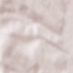 Ciorăști Terrain Map