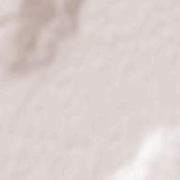 Comuna Tutova Terrain Map