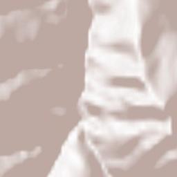 Pedesina Terrain Map