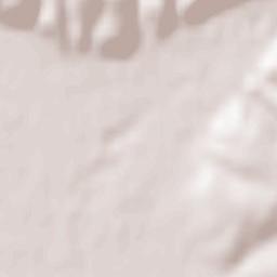 Oraş Lipova Terrain Map