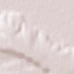 Comuna Rugineşti Terrain Map